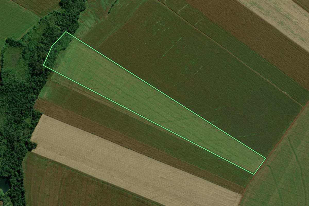 Imagem de satélite do imóvel rural em Terra Roxa (PR), com o contorno declarado no CAR desenhado por cima.
