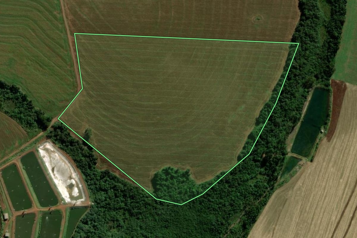 Imagem de satélite do imóvel rural em Terra Roxa (PR), com o contorno declarado no CAR desenhado por cima.