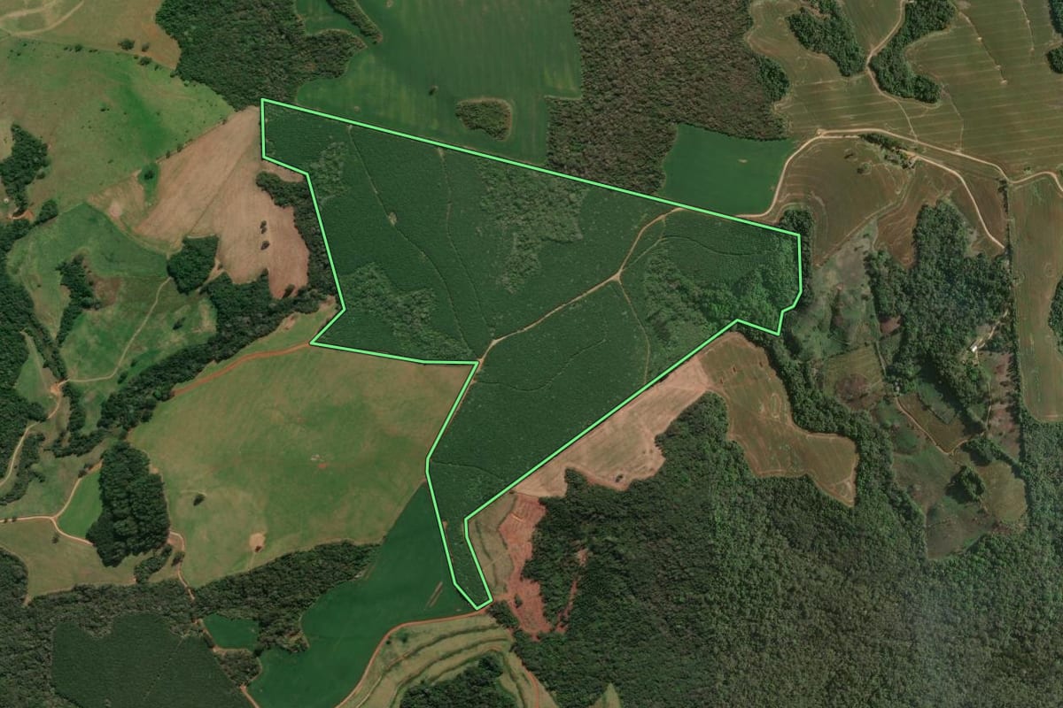 Imagem de satélite do imóvel rural em Tibagi (PR), com o contorno declarado no CAR desenhado por cima.