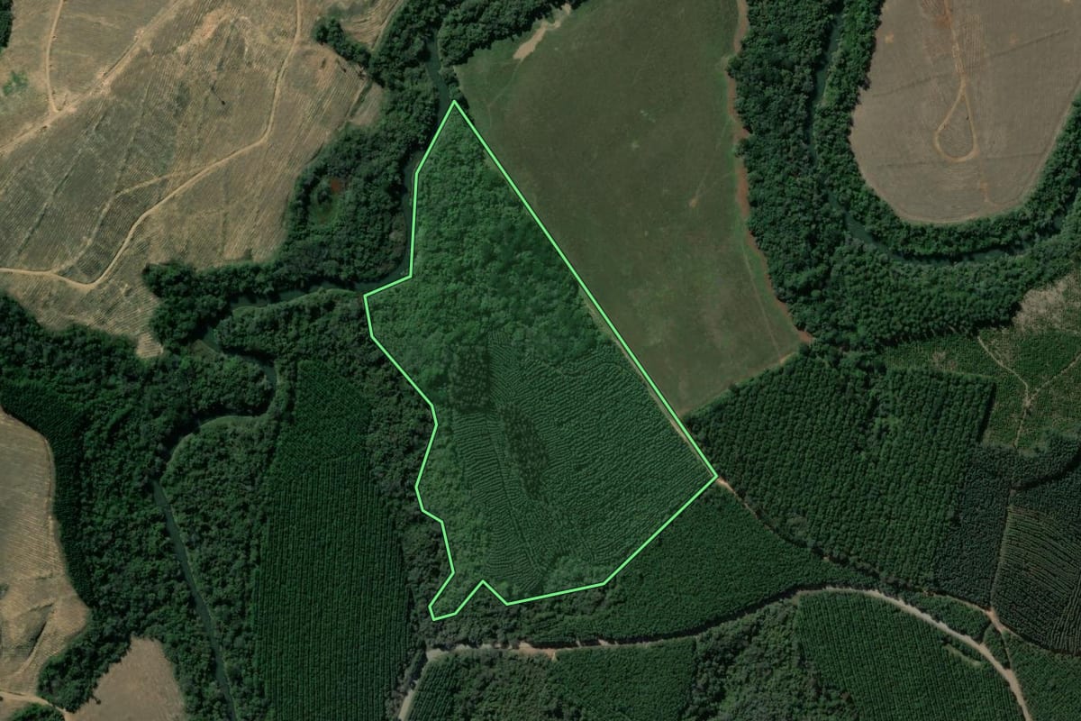 Imagem de satélite do imóvel rural em Tibagi (PR), com o contorno declarado no CAR desenhado por cima.