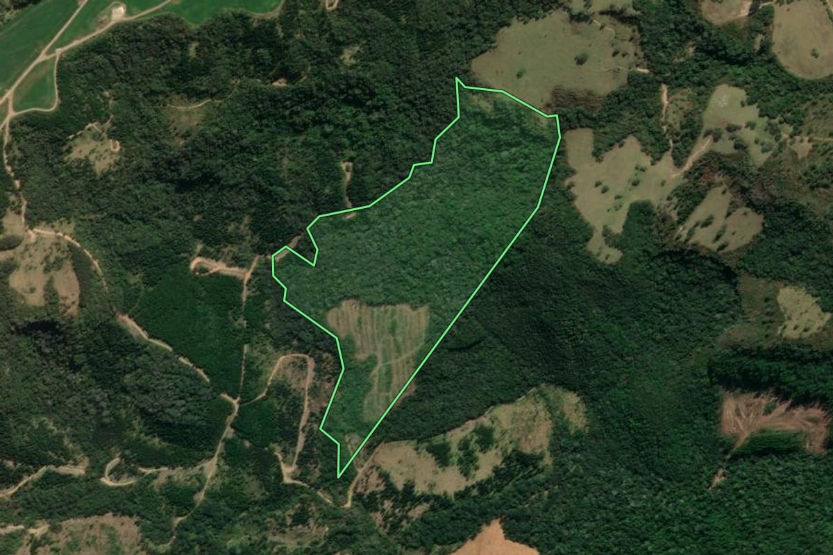 Imagem de satélite do imóvel rural em Tibagi (PR), com o contorno declarado no CAR desenhado por cima.