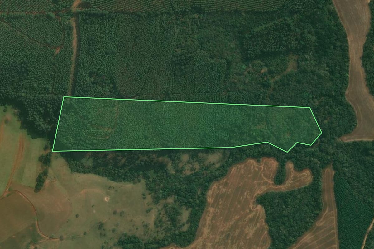 Imagem de satélite do imóvel rural em Tibagi (PR), com o contorno declarado no CAR desenhado por cima.