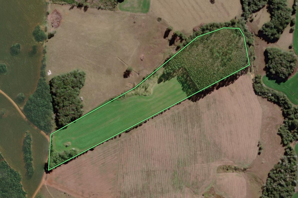 Imagem de satélite do imóvel rural em Tibagi (PR), com o contorno declarado no CAR desenhado por cima.