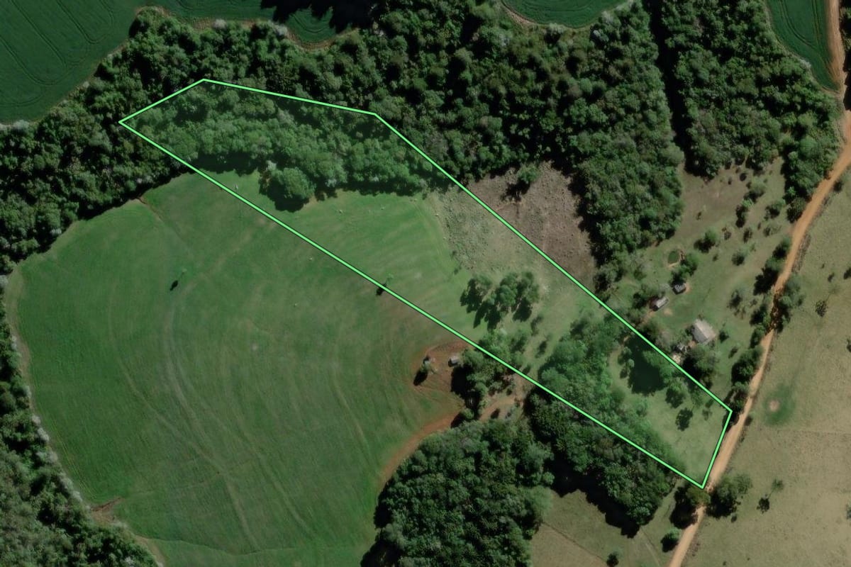 Imagem de satélite do imóvel rural em Tibagi (PR), com o contorno declarado no CAR desenhado por cima.