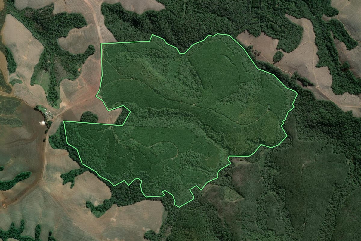 Imagem de satélite do imóvel rural em Tibagi (PR), com o contorno declarado no CAR desenhado por cima.