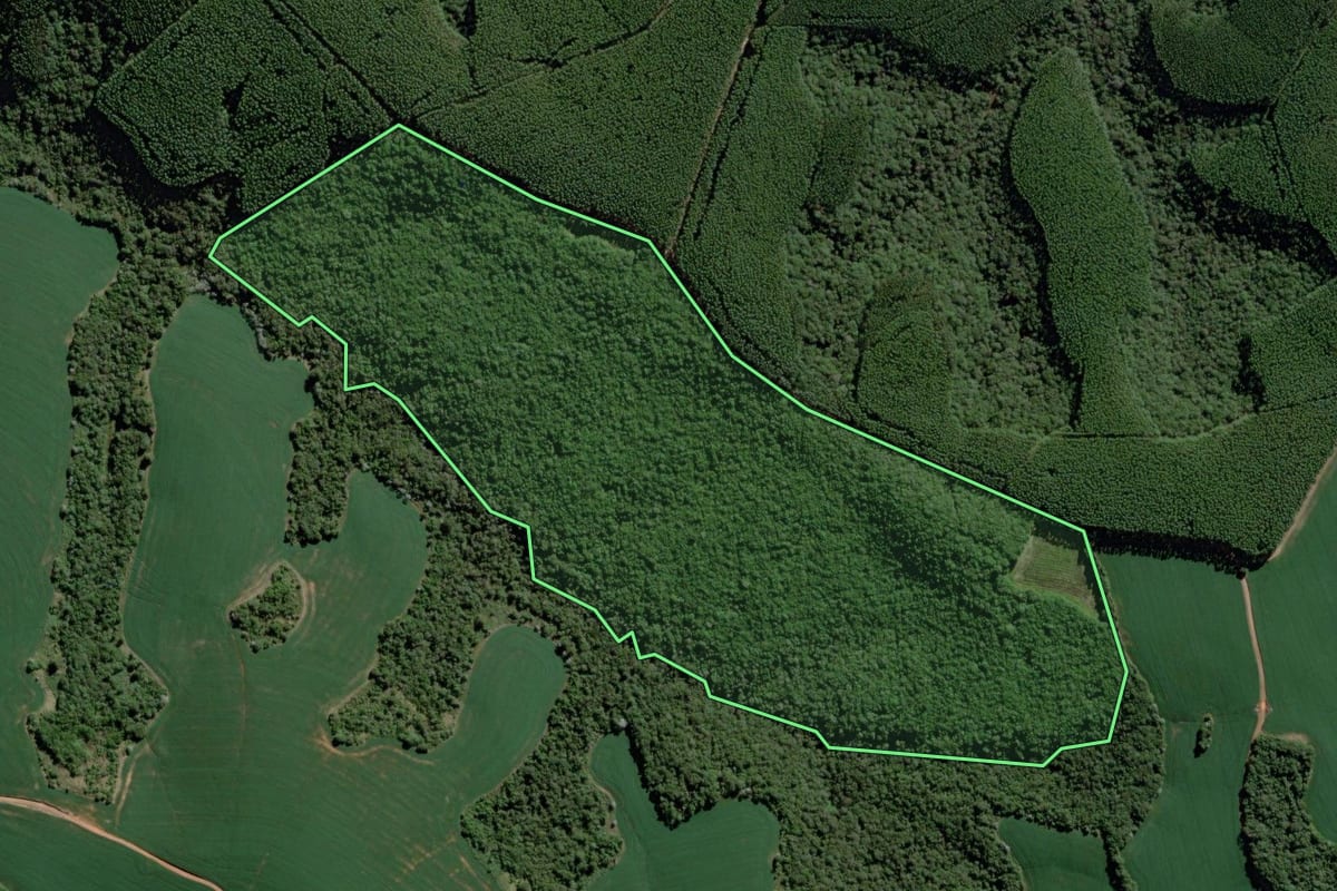 Imagem de satélite do imóvel rural em Tibagi (PR), com o contorno declarado no CAR desenhado por cima.