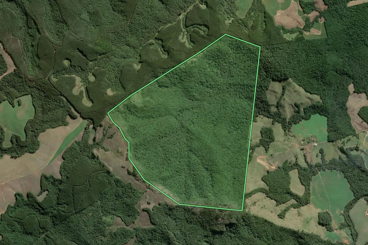 Imagem de satélite do imóvel rural em Tibagi (PR), com o contorno declarado no CAR desenhado por cima.