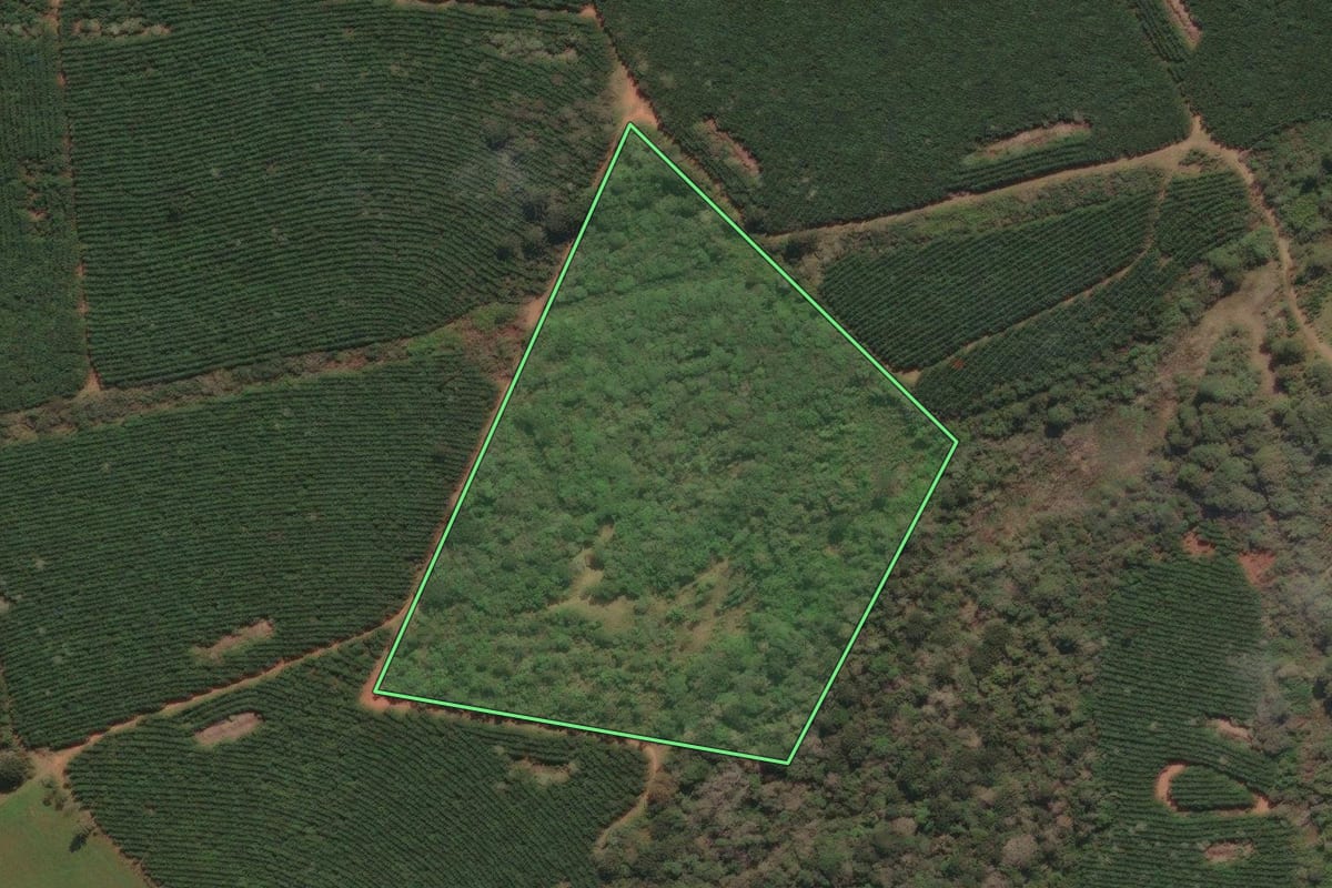 Imagem de satélite do imóvel rural em Tibagi (PR), com o contorno declarado no CAR desenhado por cima.