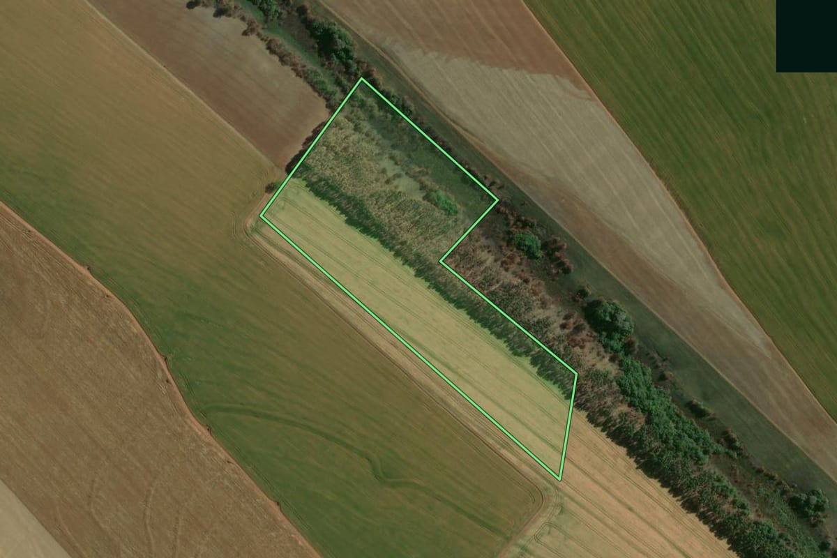 Imagem de satélite do imóvel rural em Tibagi (PR), com o contorno declarado no CAR desenhado por cima.