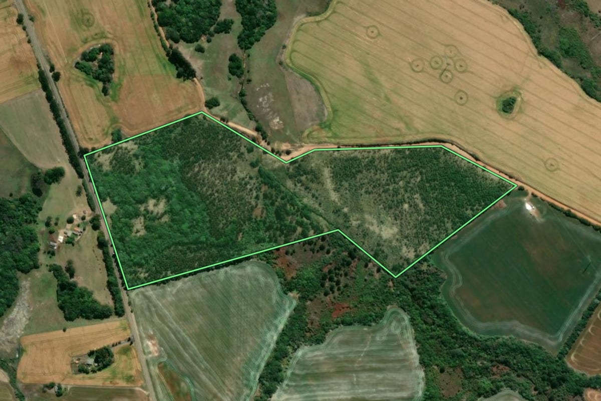 Imagem de satélite do imóvel rural em Tibagi (PR), com o contorno declarado no CAR desenhado por cima.