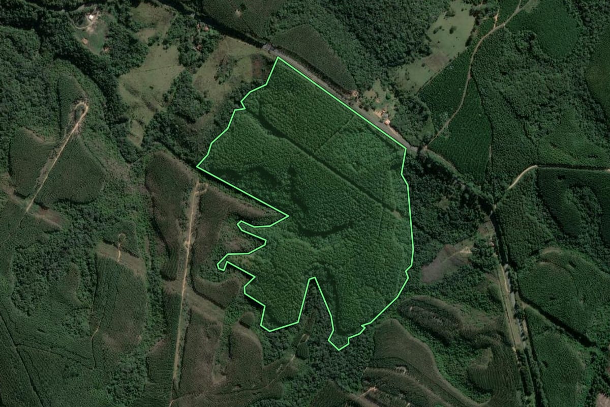 Imagem de satélite do imóvel rural em Tibagi (PR), com o contorno declarado no CAR desenhado por cima.