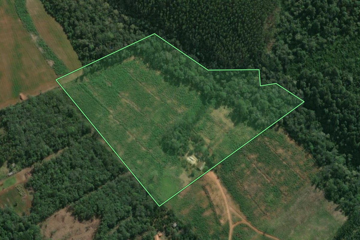Imagem de satélite do imóvel rural em Tibagi (PR), com o contorno declarado no CAR desenhado por cima.