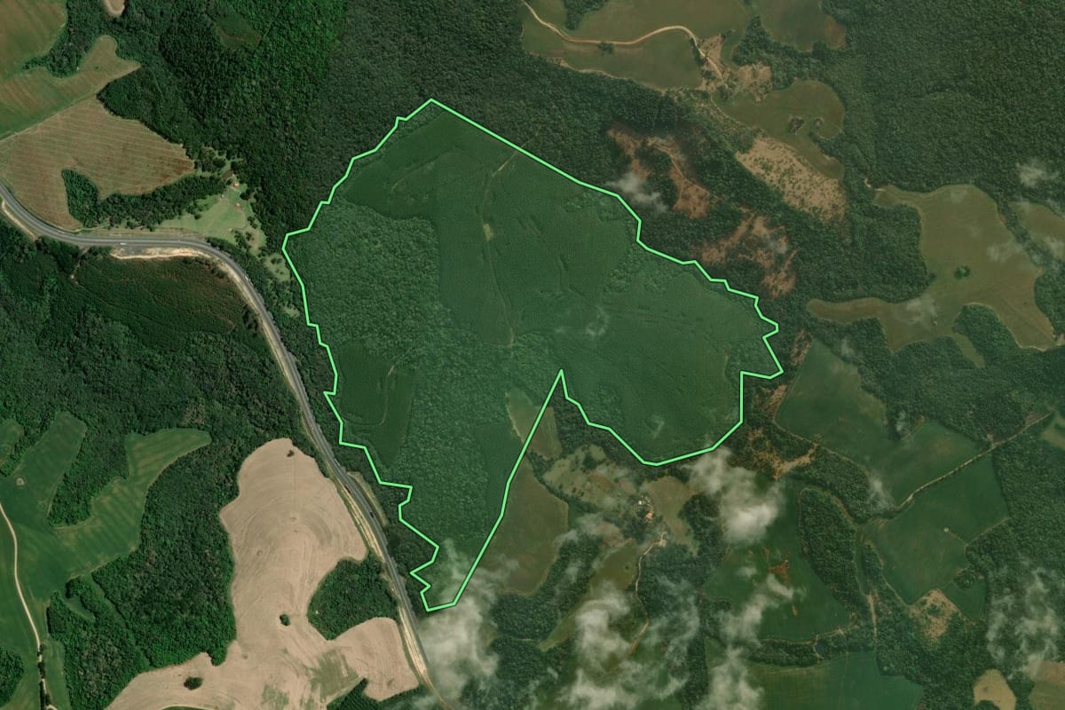 Imagem de satélite do imóvel rural em Tibagi (PR), com o contorno declarado no CAR desenhado por cima.
