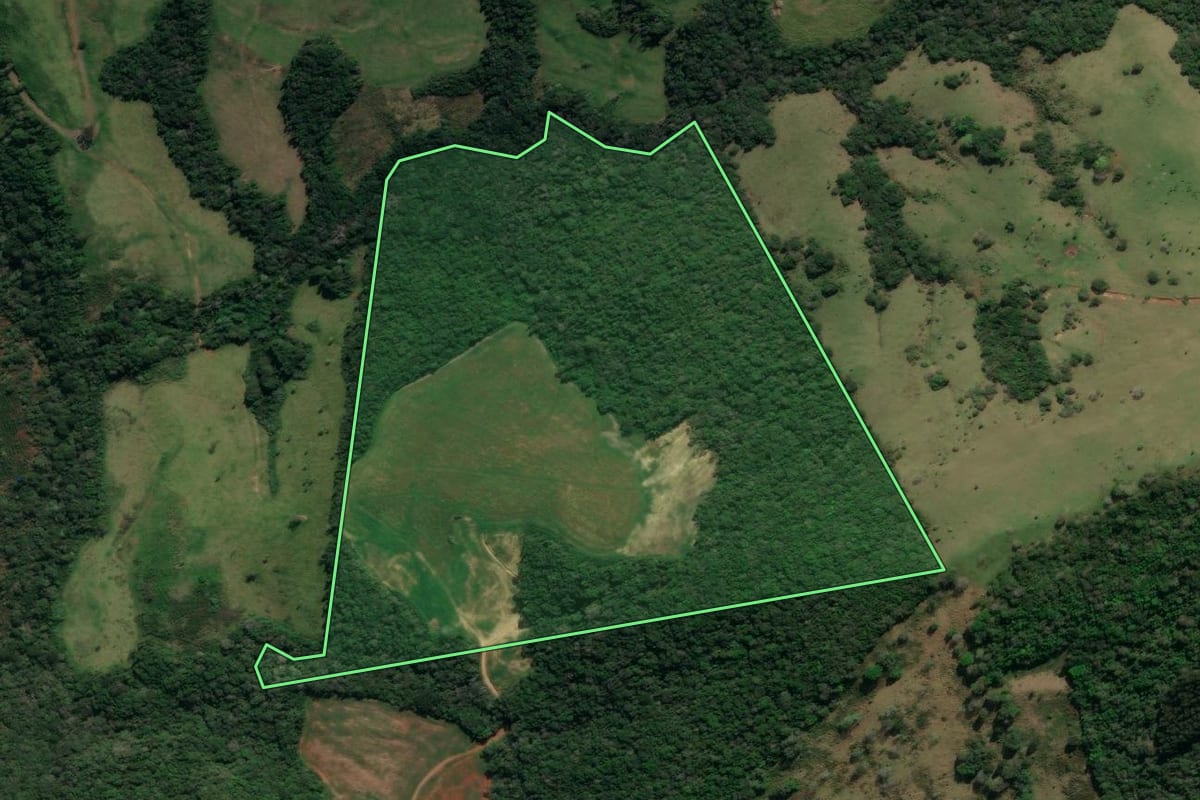 Imagem de satélite do imóvel rural em Tibagi (PR), com o contorno declarado no CAR desenhado por cima.