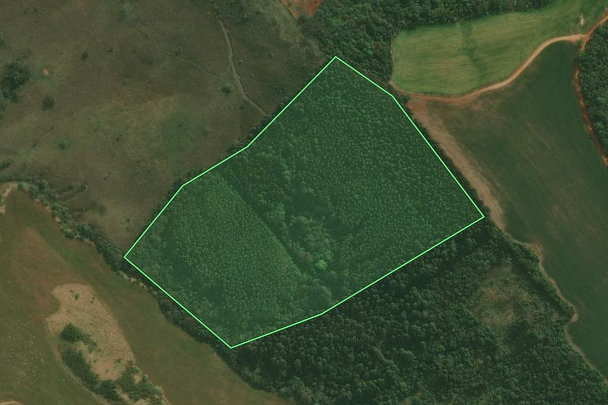 Imagem de satélite do imóvel rural em Tibagi (PR), com o contorno declarado no CAR desenhado por cima.