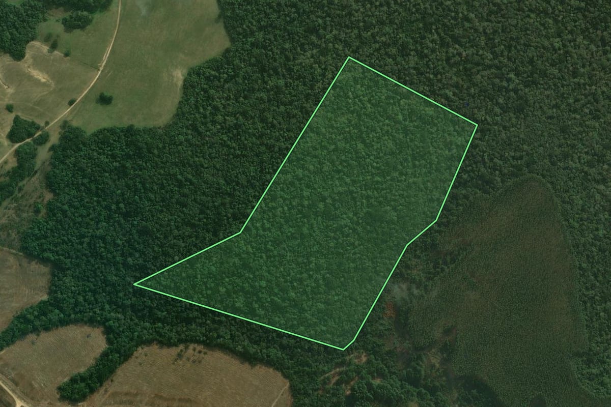 Imagem de satélite do imóvel rural em Tibagi (PR), com o contorno declarado no CAR desenhado por cima.