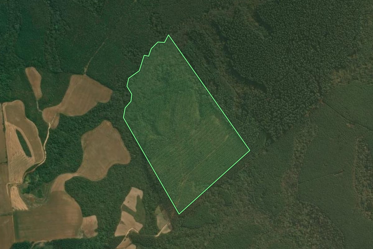 Imagem de satélite do imóvel rural em Tibagi (PR), com o contorno declarado no CAR desenhado por cima.
