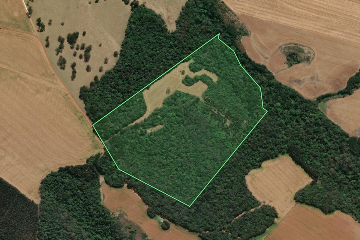 Imagem de satélite do imóvel rural em Tibagi (PR), com o contorno declarado no CAR desenhado por cima.