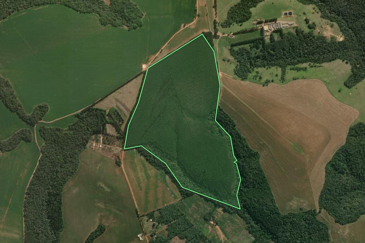Imagem de satélite do imóvel rural em Tibagi (PR), com o contorno declarado no CAR desenhado por cima.