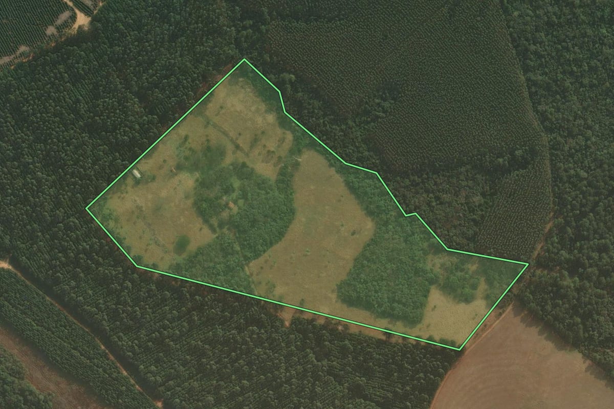 Imagem de satélite do imóvel rural em Tibagi (PR), com o contorno declarado no CAR desenhado por cima.