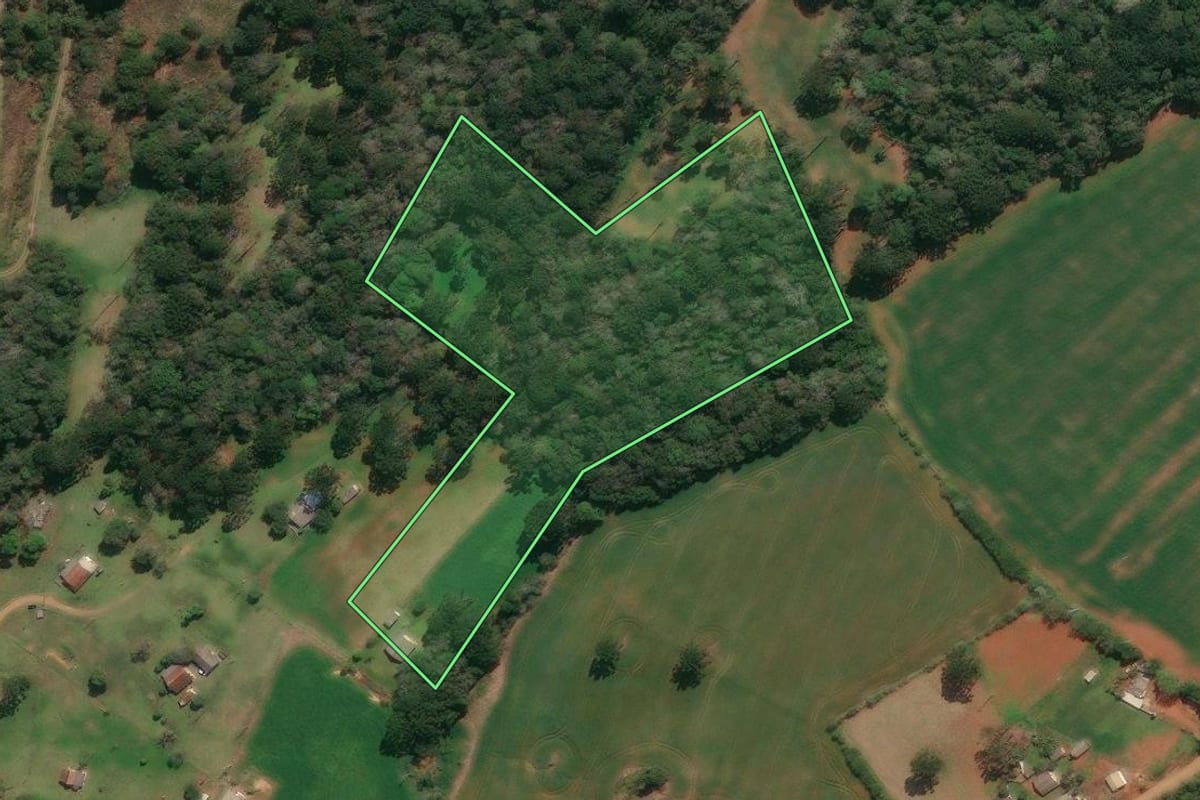 Imagem de satélite do imóvel rural em Tibagi (PR), com o contorno declarado no CAR desenhado por cima.