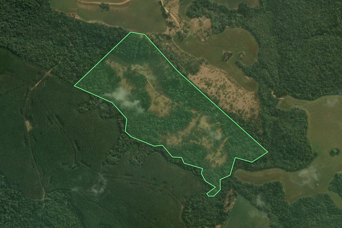 Imagem de satélite do imóvel rural em Tibagi (PR), com o contorno declarado no CAR desenhado por cima.