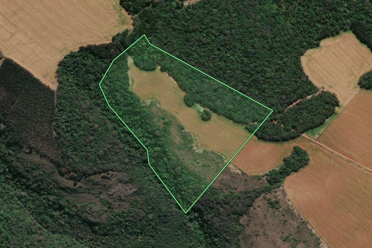 Imagem de satélite do imóvel rural em Tibagi (PR), com o contorno declarado no CAR desenhado por cima.