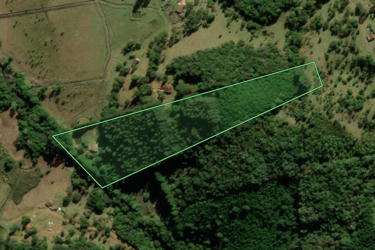 Imagem de satélite do imóvel rural em Tijucas do Sul (PR), com o contorno declarado no CAR desenhado por cima.