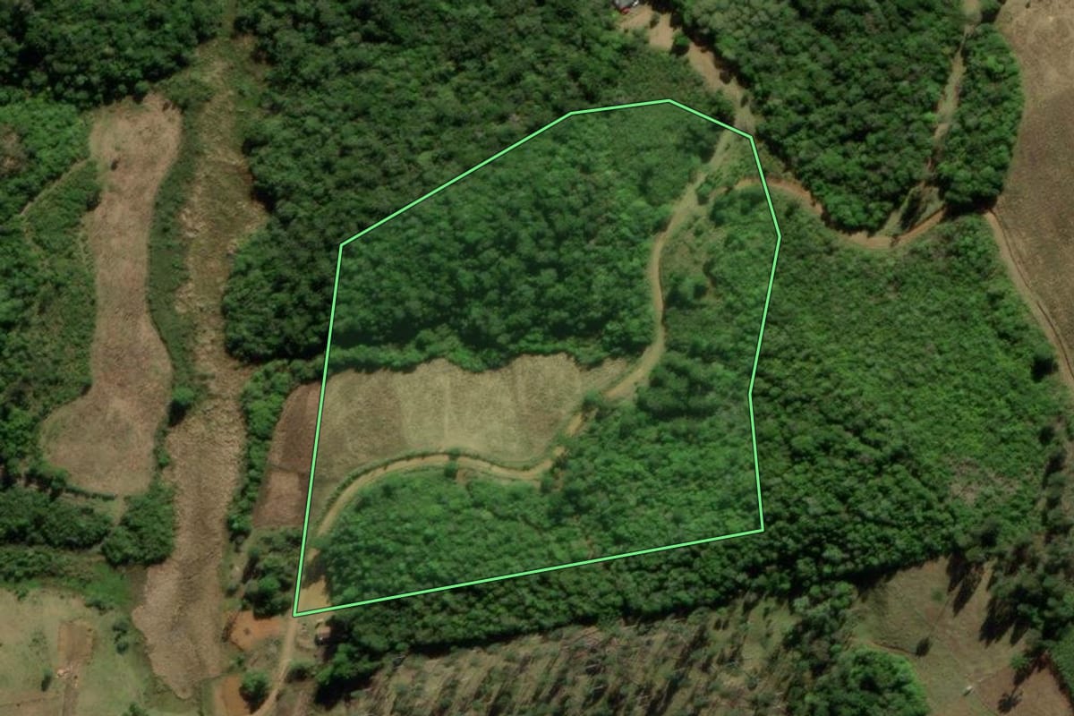 Imagem de satélite do imóvel rural em Tijucas do Sul (PR), com o contorno declarado no CAR desenhado por cima.