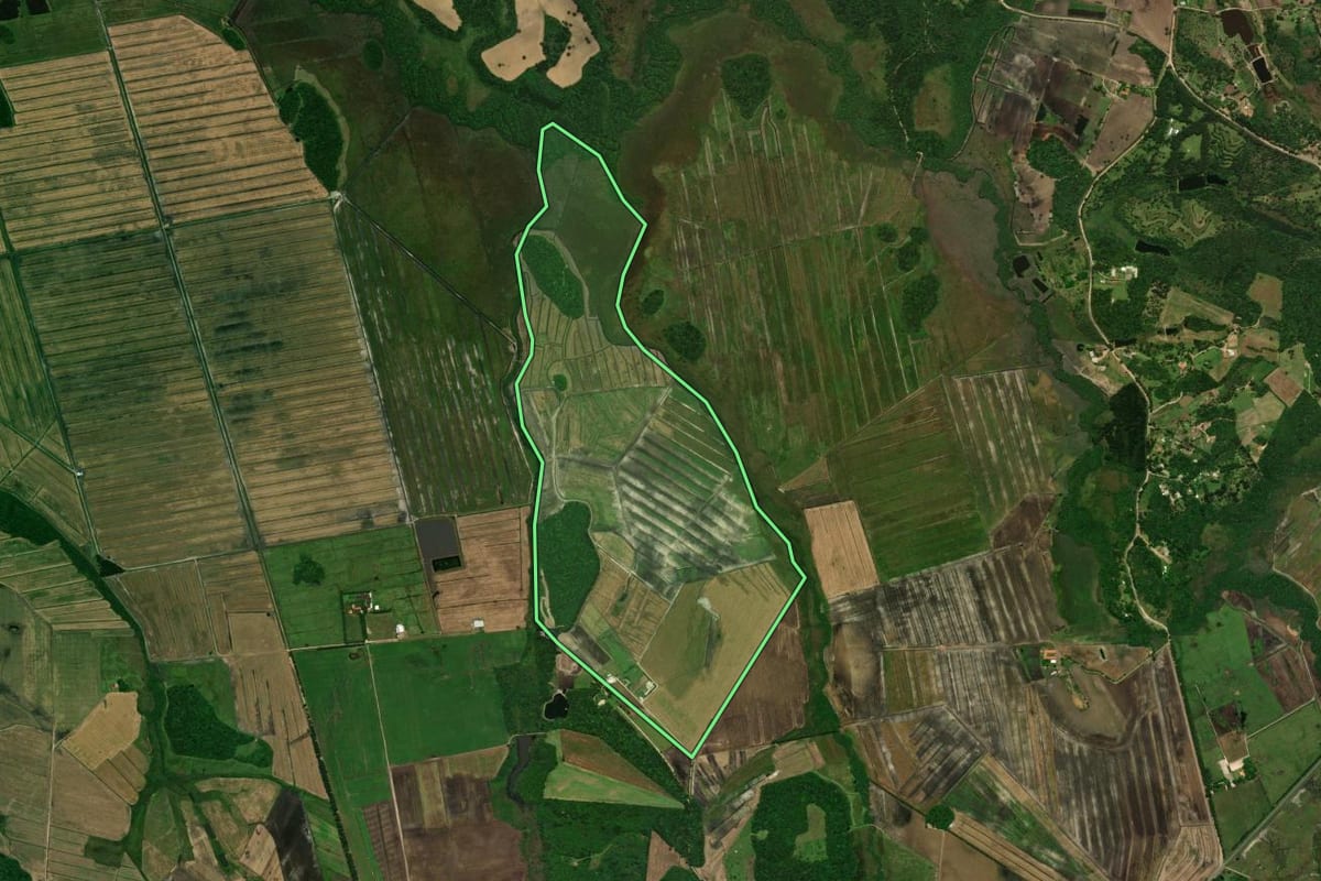 Imagem de satélite do imóvel rural em Tijucas do Sul (PR), com o contorno declarado no CAR desenhado por cima.