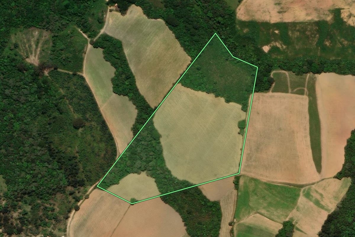 Imagem de satélite do imóvel rural em Tijucas do Sul (PR), com o contorno declarado no CAR desenhado por cima.