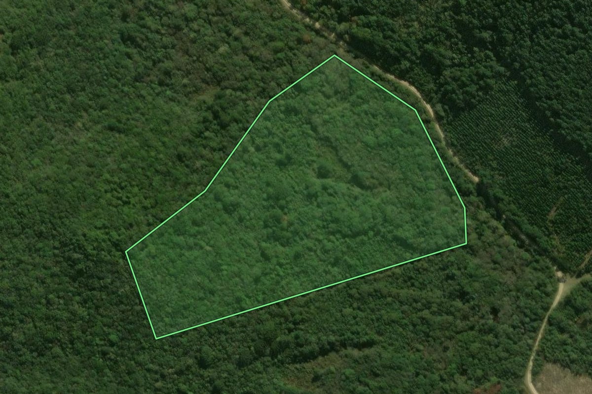 Imagem de satélite do imóvel rural em Tijucas do Sul (PR), com o contorno declarado no CAR desenhado por cima.