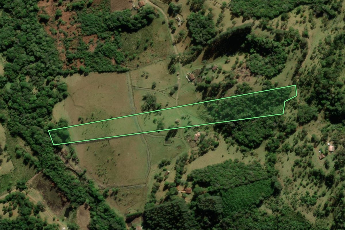 Imagem de satélite do imóvel rural em Tijucas do Sul (PR), com o contorno declarado no CAR desenhado por cima.