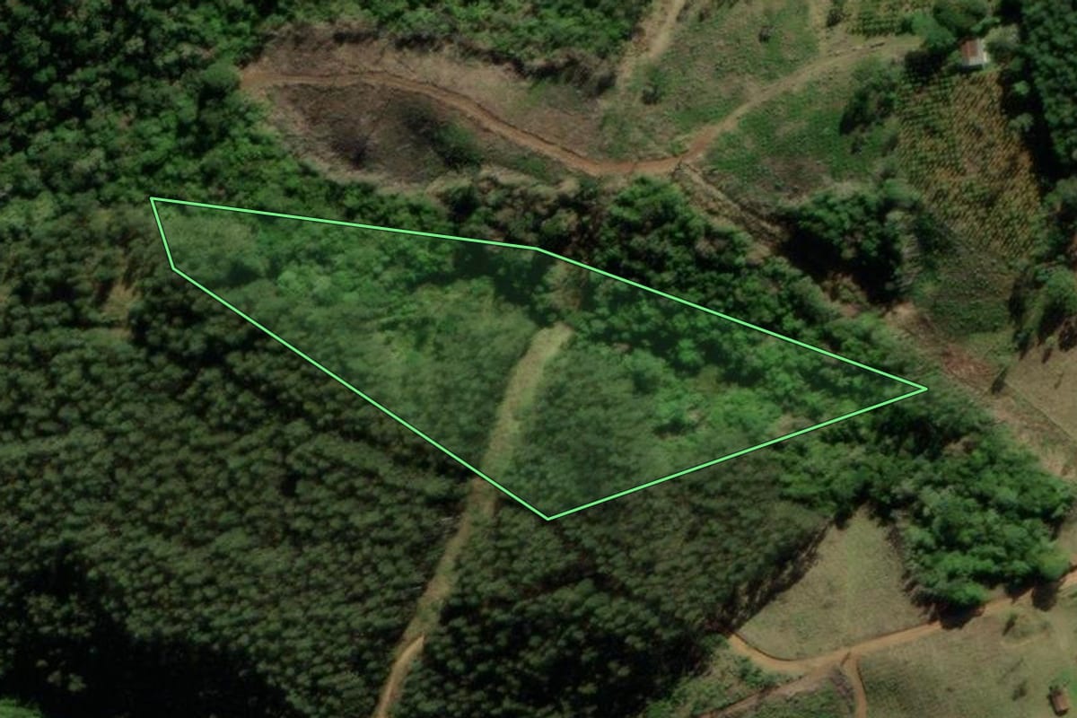 Imagem de satélite do imóvel rural em Tijucas do Sul (PR), com o contorno declarado no CAR desenhado por cima.