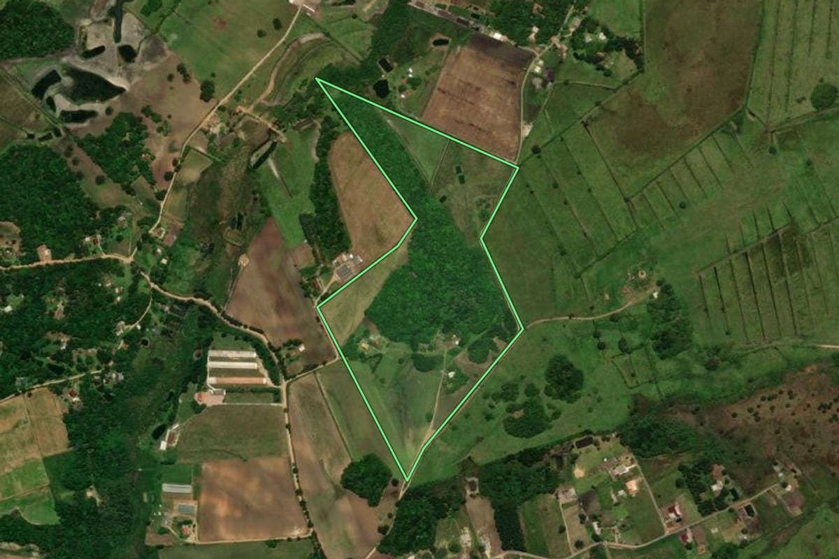 Imagem de satélite do imóvel rural em Tijucas do Sul (PR), com o contorno declarado no CAR desenhado por cima.