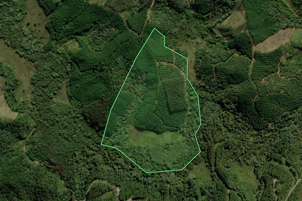 Imagem de satélite do imóvel rural em Tijucas do Sul (PR), com o contorno declarado no CAR desenhado por cima.