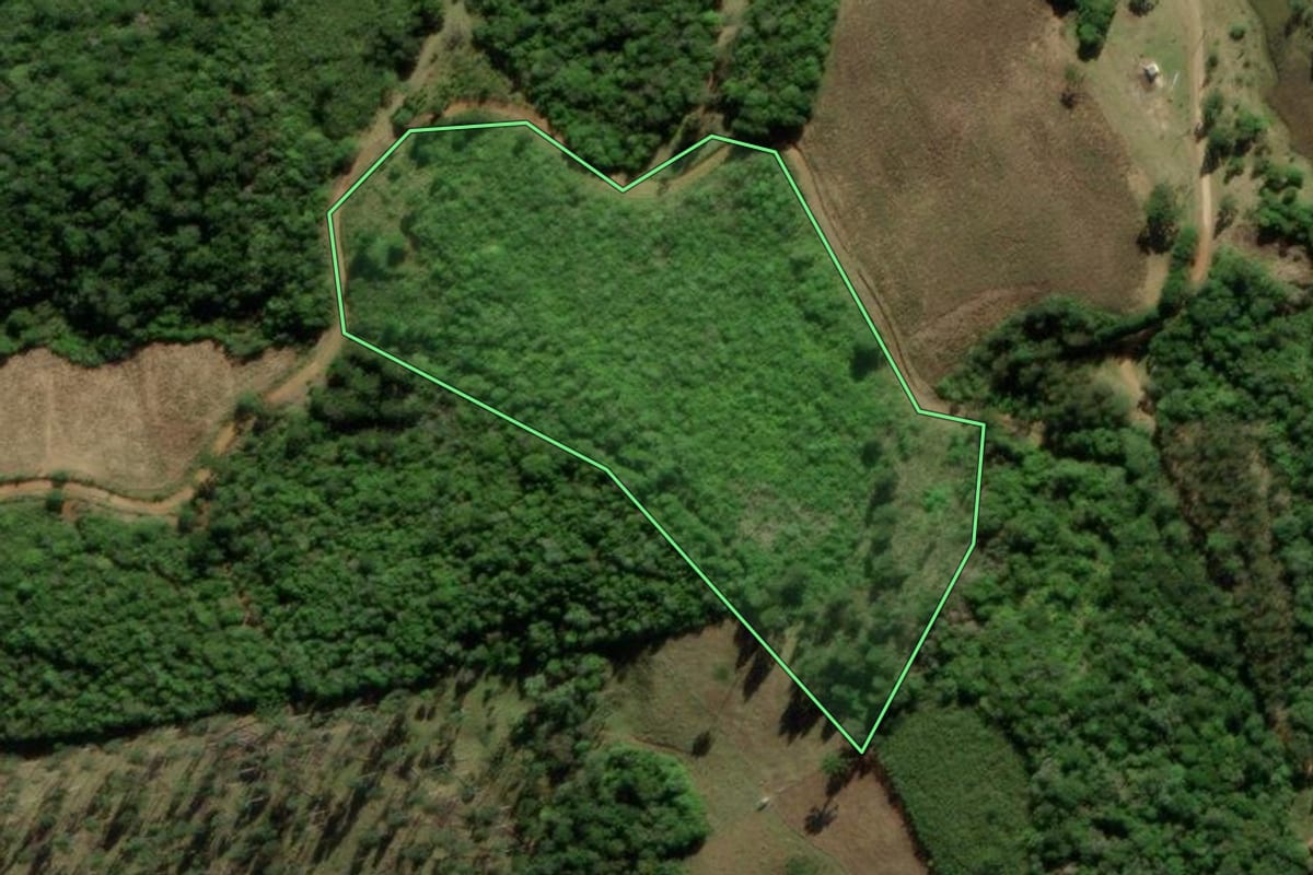 Imagem de satélite do imóvel rural em Tijucas do Sul (PR), com o contorno declarado no CAR desenhado por cima.