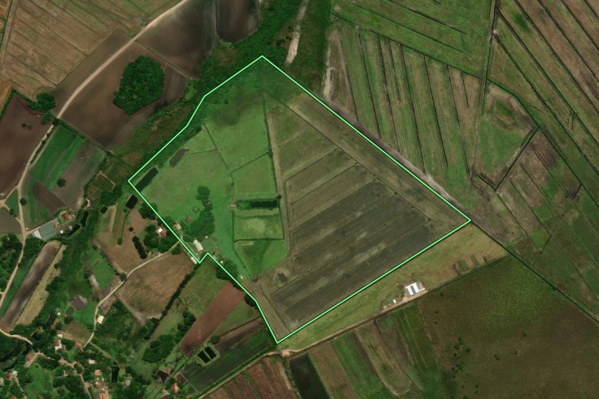 Imagem de satélite do imóvel rural em Tijucas do Sul (PR), com o contorno declarado no CAR desenhado por cima.