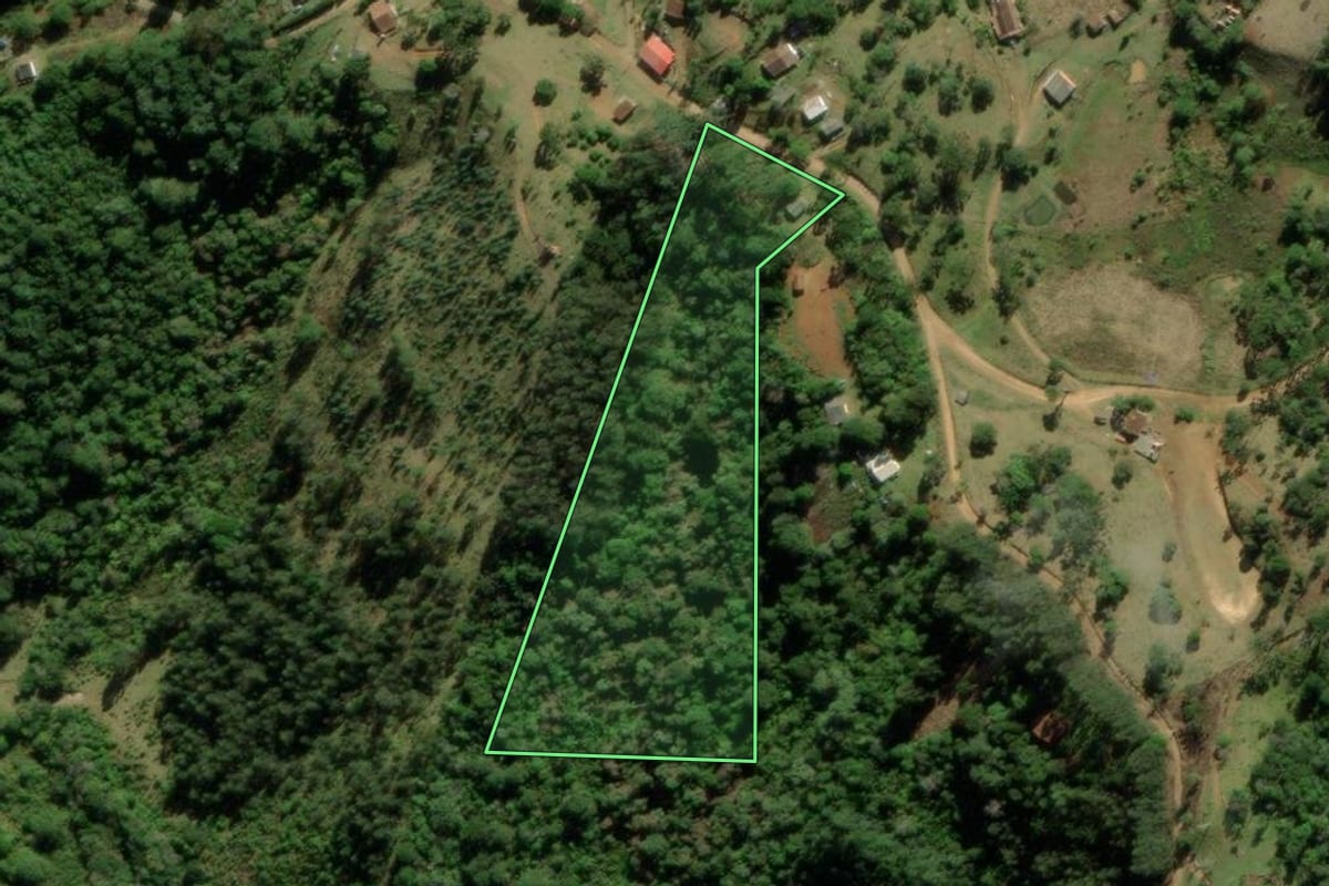 Imagem de satélite do imóvel rural em Tijucas do Sul (PR), com o contorno declarado no CAR desenhado por cima.