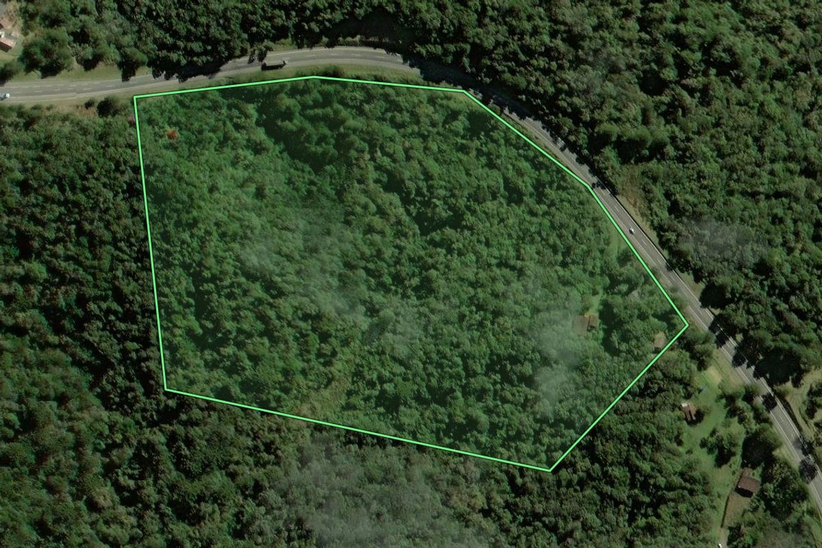 Imagem de satélite do imóvel rural em Tijucas do Sul (PR), com o contorno declarado no CAR desenhado por cima.