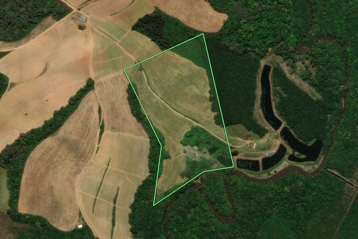 Imagem de satélite do imóvel rural em Tijucas do Sul (PR), com o contorno declarado no CAR desenhado por cima.