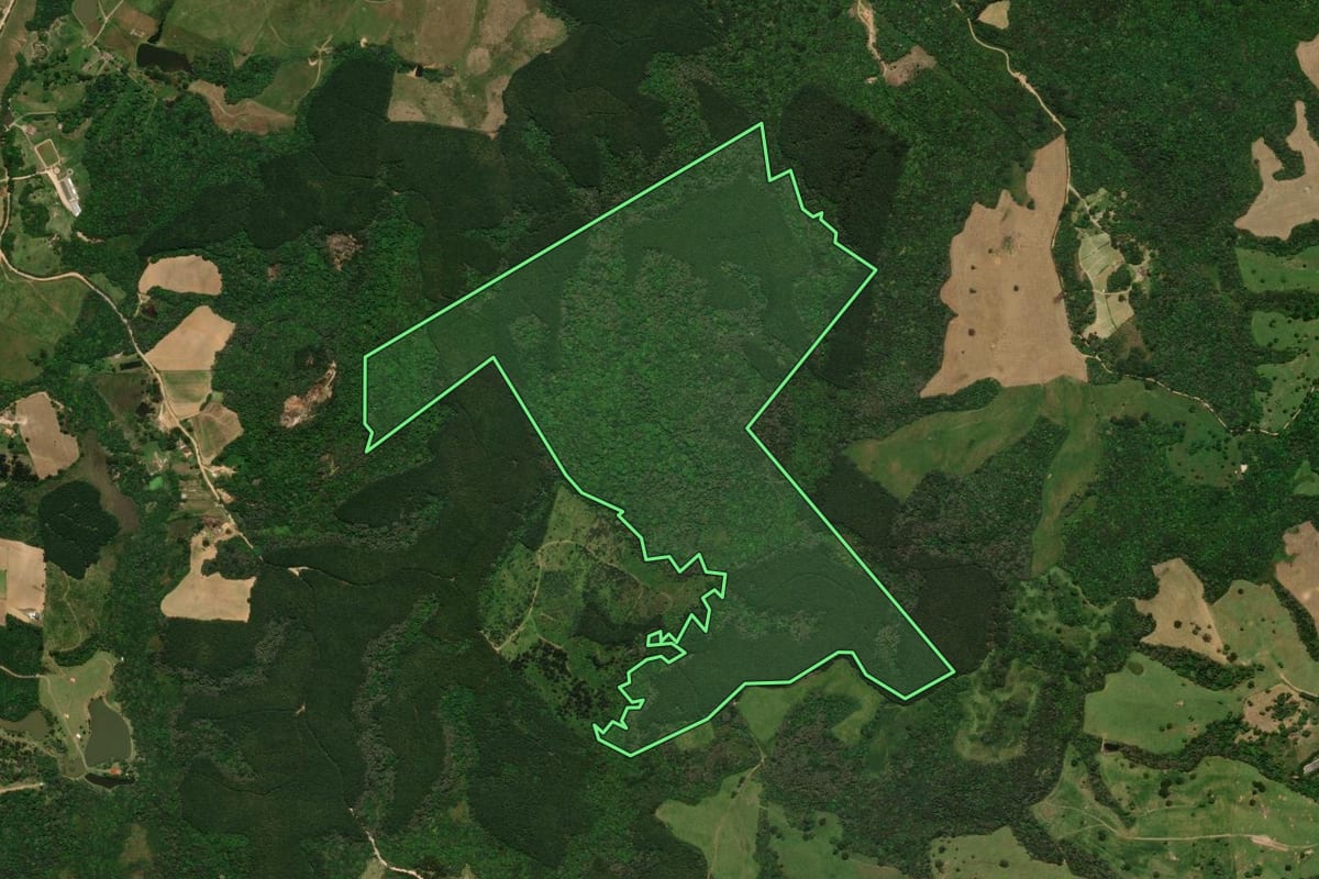Imagem de satélite do imóvel rural em Tijucas do Sul (PR), com o contorno declarado no CAR desenhado por cima.