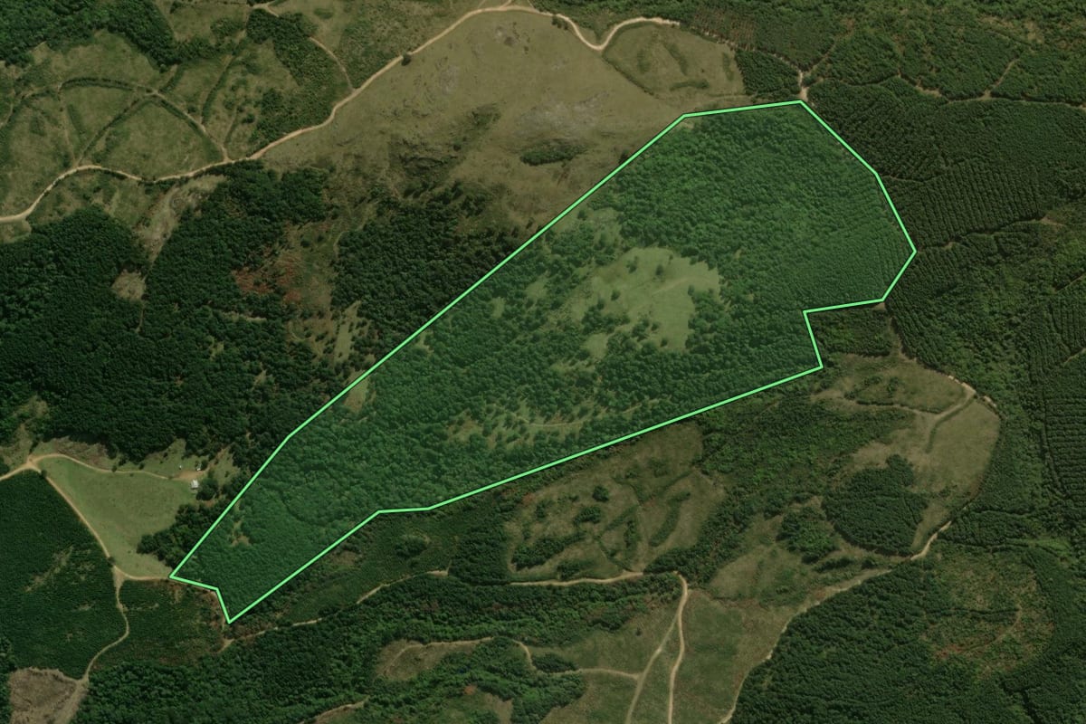 Imagem de satélite do imóvel rural em Tijucas do Sul (PR), com o contorno declarado no CAR desenhado por cima.