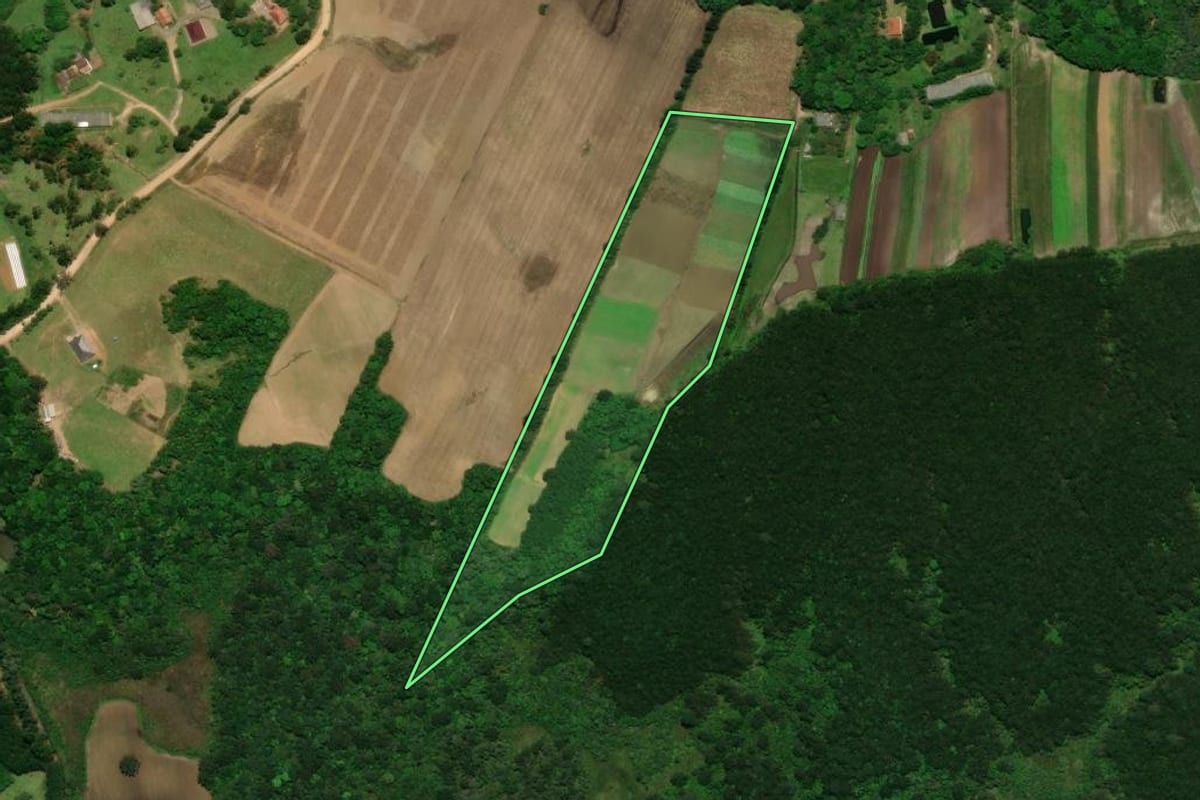 Imagem de satélite do imóvel rural em Tijucas do Sul (PR), com o contorno declarado no CAR desenhado por cima.