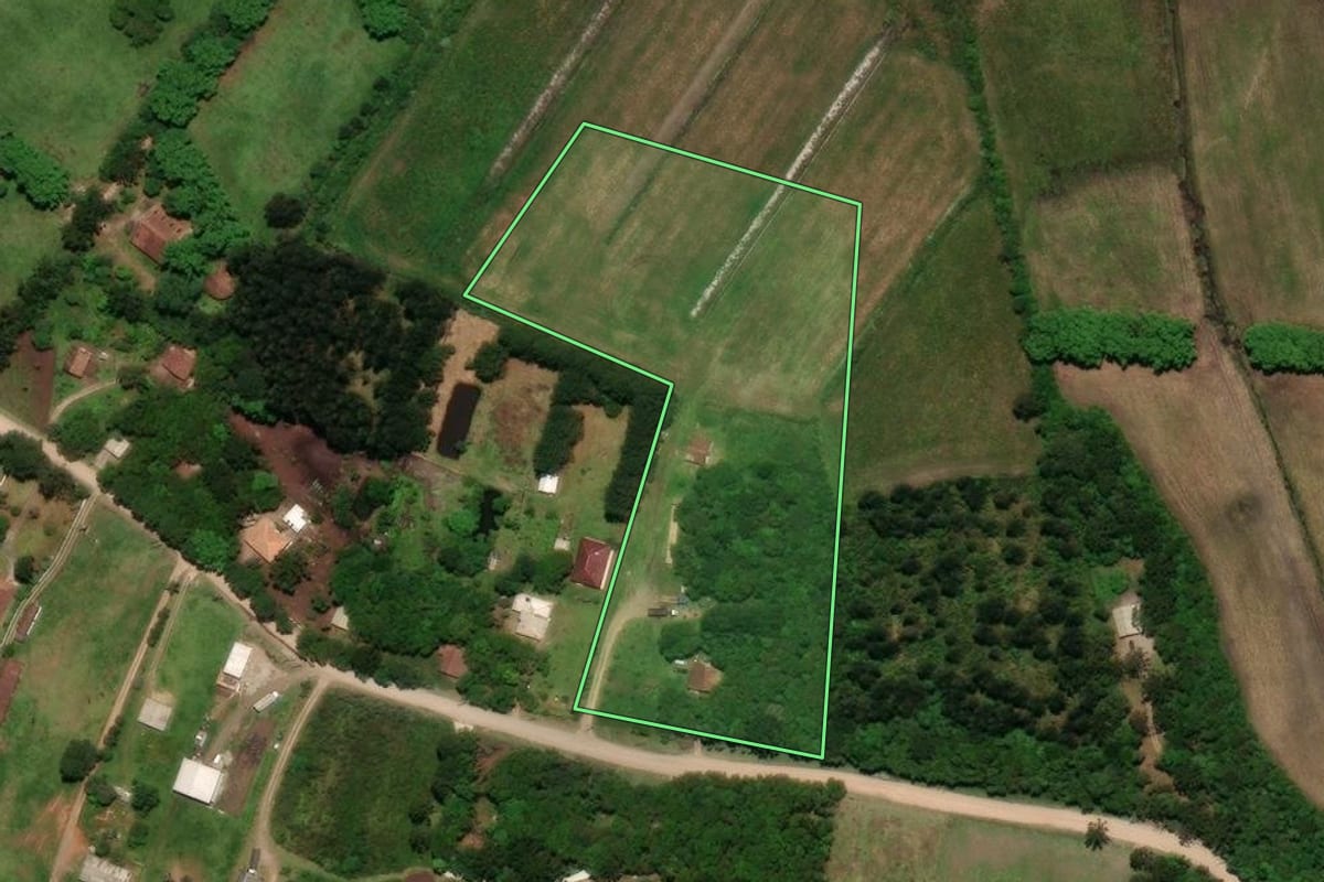 Imagem de satélite do imóvel rural em Tijucas do Sul (PR), com o contorno declarado no CAR desenhado por cima.