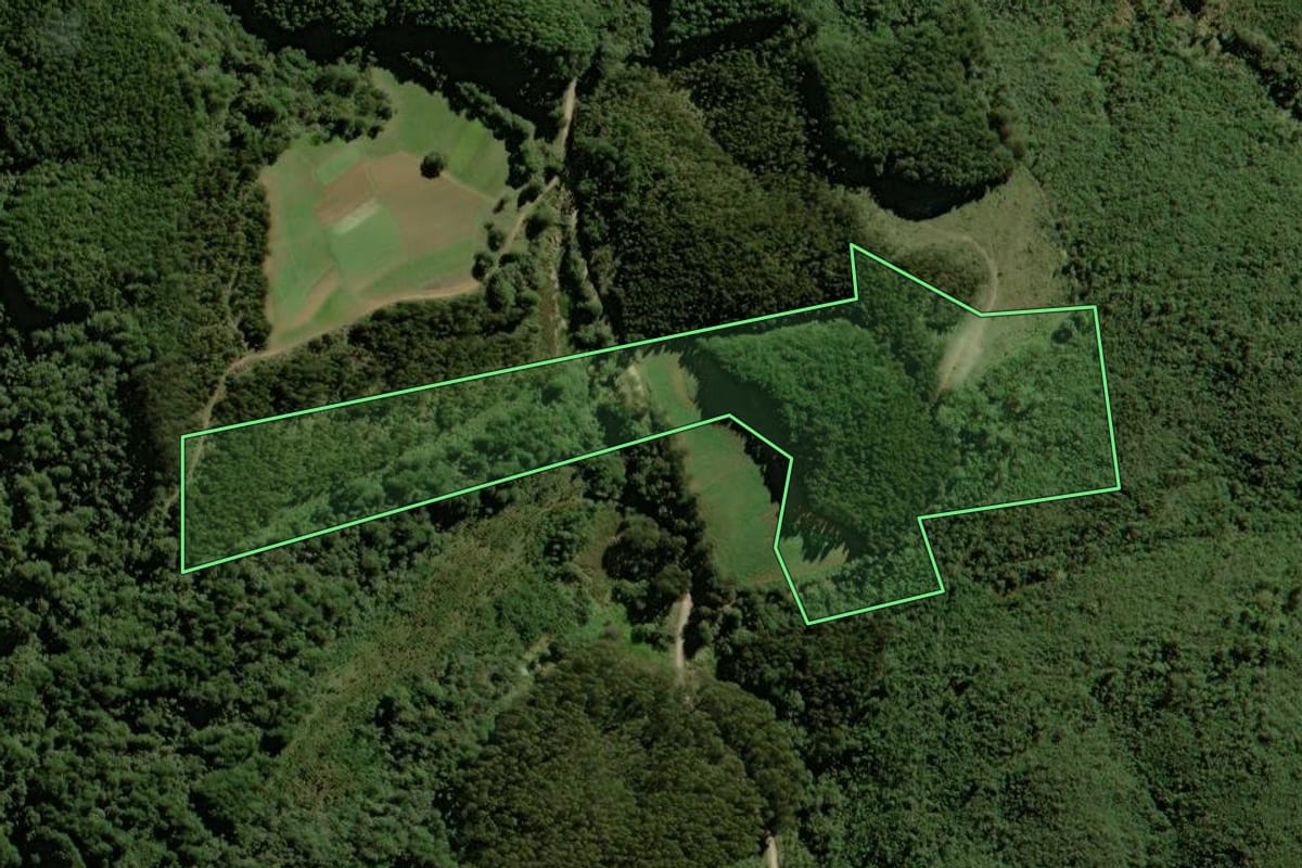 Imagem de satélite do imóvel rural em Tijucas do Sul (PR), com o contorno declarado no CAR desenhado por cima.
