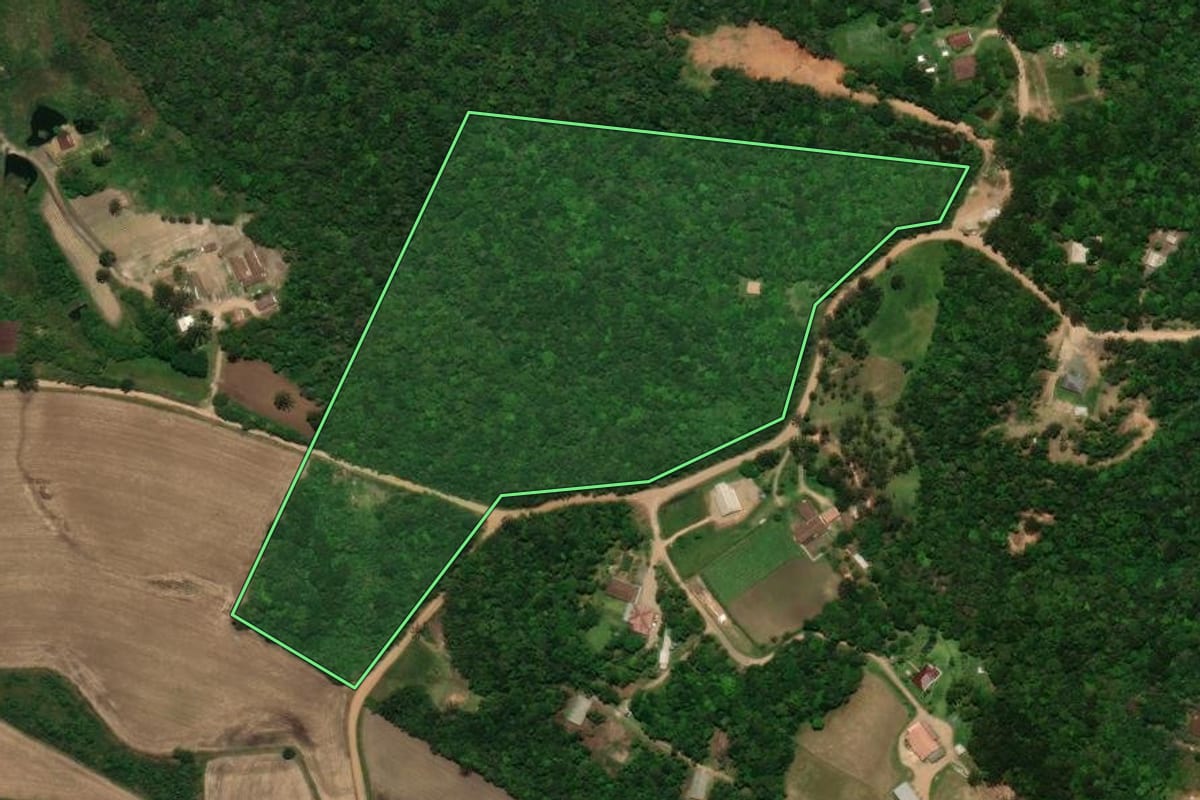 Imagem de satélite do imóvel rural em Tijucas do Sul (PR), com o contorno declarado no CAR desenhado por cima.