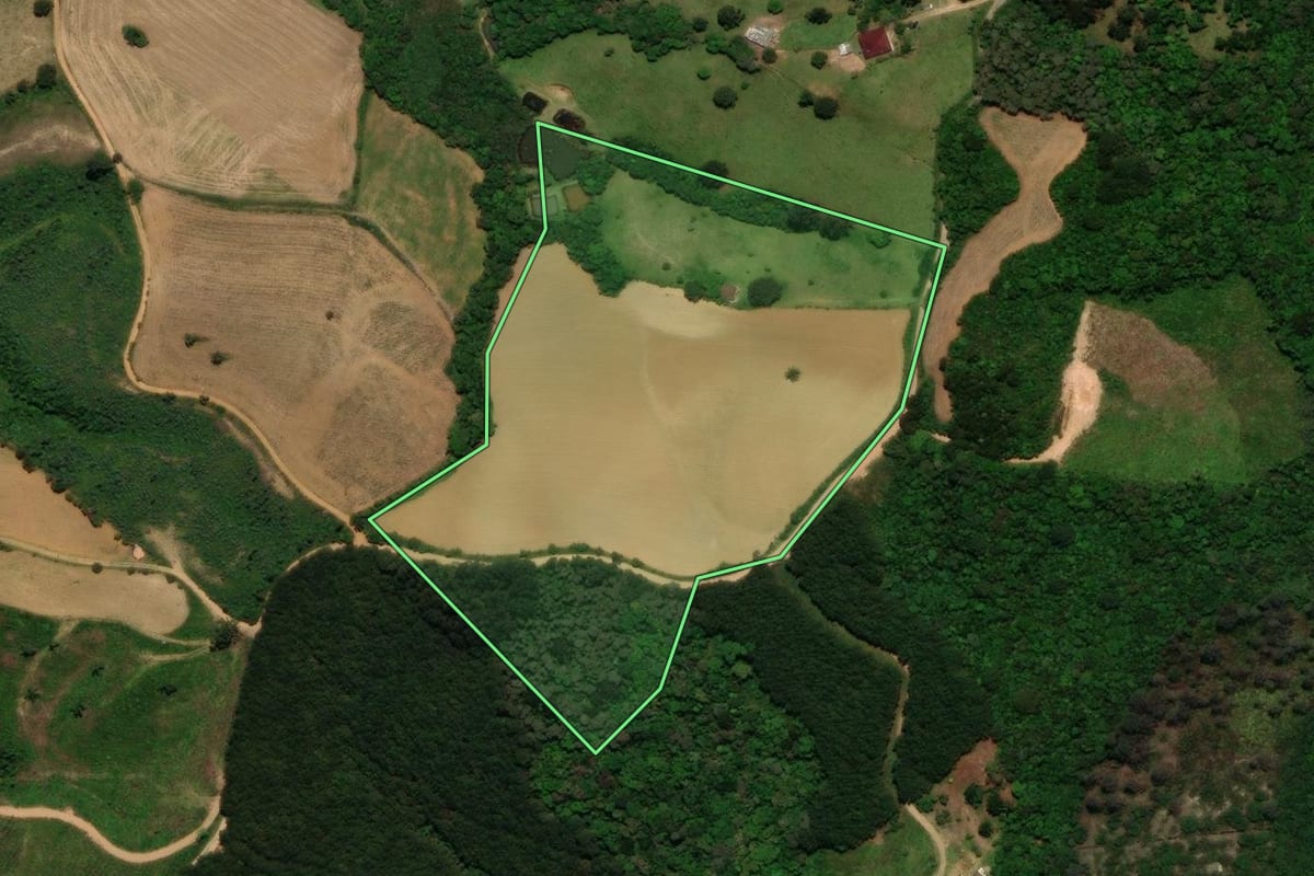 Imagem de satélite do imóvel rural em Tijucas do Sul (PR), com o contorno declarado no CAR desenhado por cima.