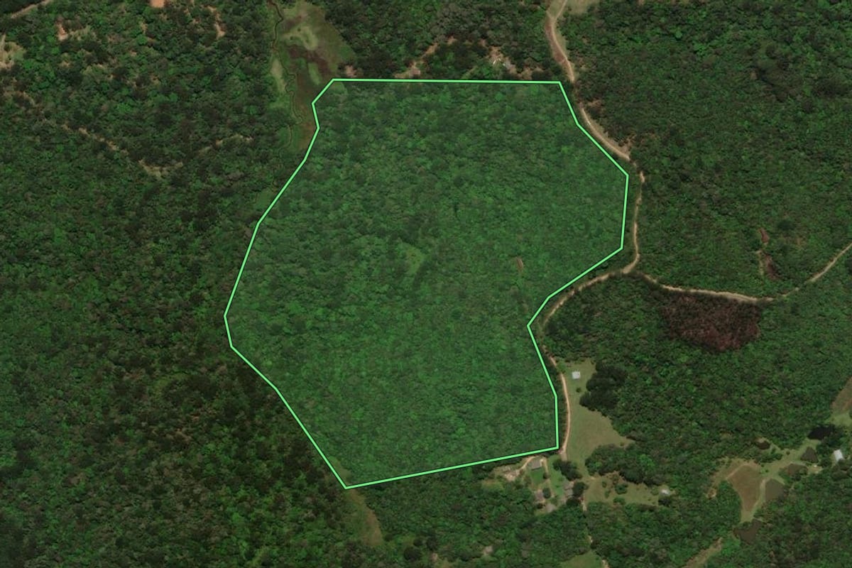 Imagem de satélite do imóvel rural em Tijucas do Sul (PR), com o contorno declarado no CAR desenhado por cima.