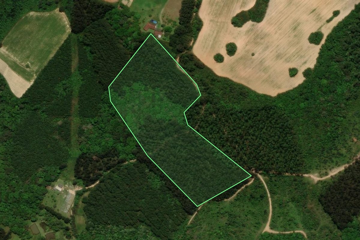 Imagem de satélite do imóvel rural em Tijucas do Sul (PR), com o contorno declarado no CAR desenhado por cima.